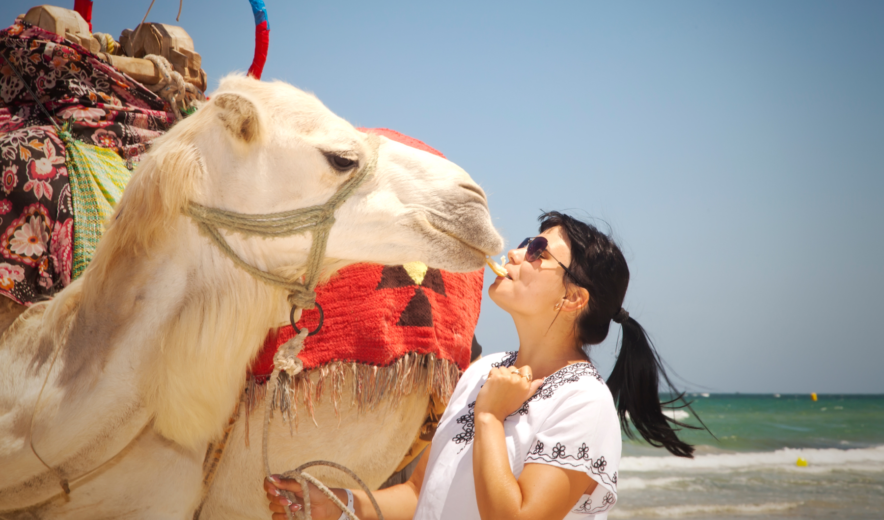 Kenya vs Tanzania Safari: The Better African Safari Experience